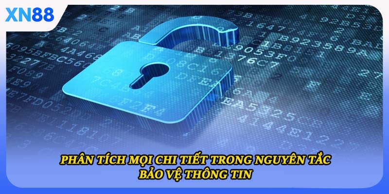 Phân tích mọi chi tiết trong nguyên tắc bảo vệ thông tin
