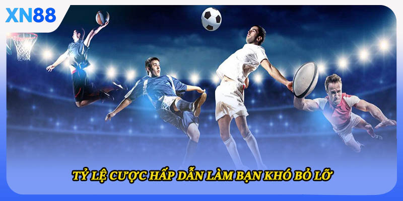 Tỷ lệ cược hấp dẫn làm bạn khó bỏ lỡ